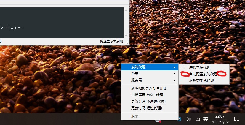 v2rayNG windows下如何使用教程_https://www.gowall.net_电脑端_第9张