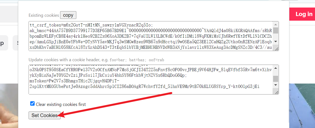 Tiktok 使用 Cookie 直接登入 (适用于 Google 浏览器网页版本)