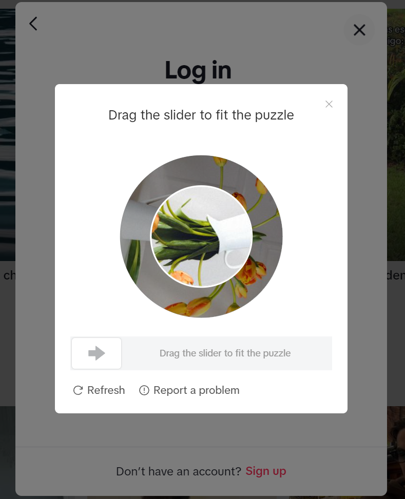 Tiktok 账号密码直接登入 (适用于 App, 浏览器网页版本)