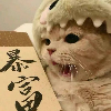 网速之神